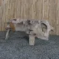 morepic-3